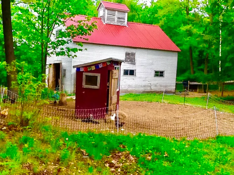 314 Pratt Rd — Photo 4