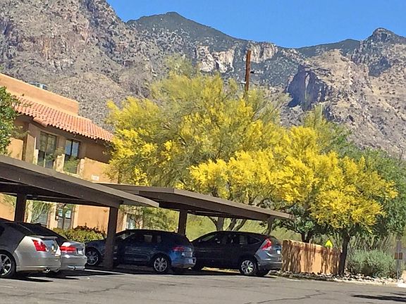 Covered tenant parking