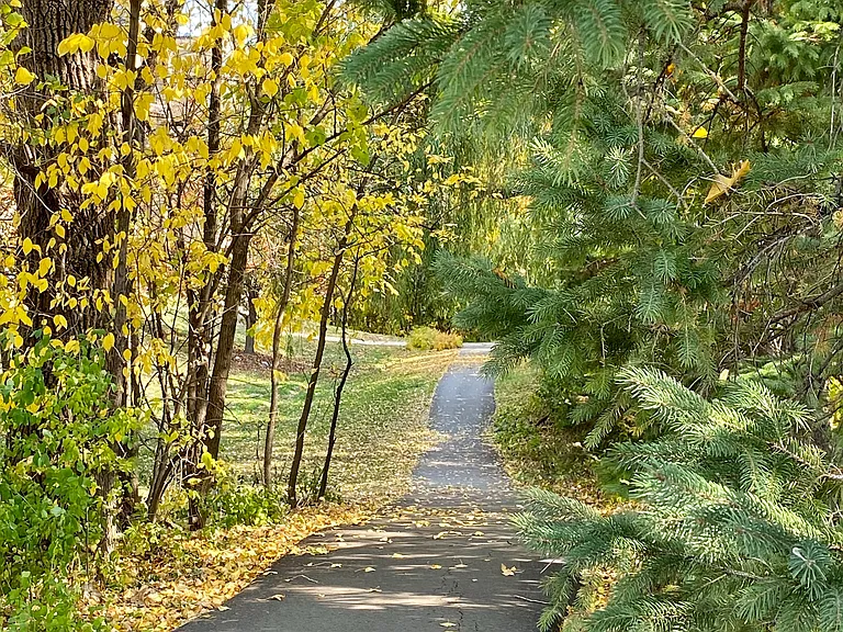 Avana Minnetonka — Photo 42