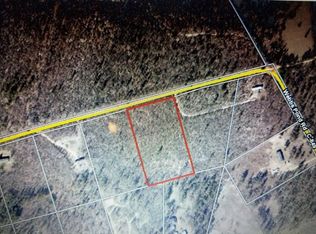 409 Webbs Pond Rd, Williston, SC 29853