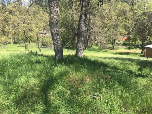 27275 Forrest Oak Rd, Pioneer, CA 95666