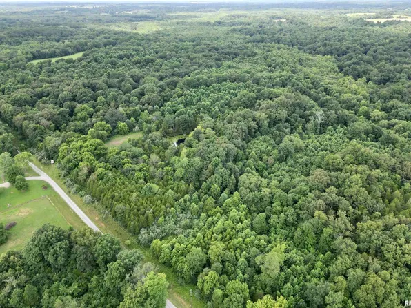 0 Birdwell Church Ln, Creal Springs, IL 62922