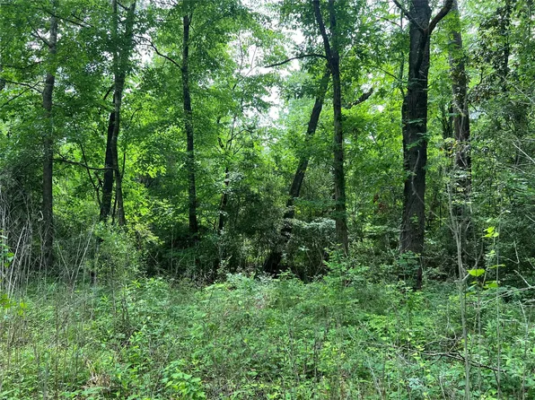 LOT 22 Forester, Livingston, TX 77351