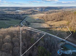 1056 Rocky Hollow Rd #10, Blountsville, AL 35031