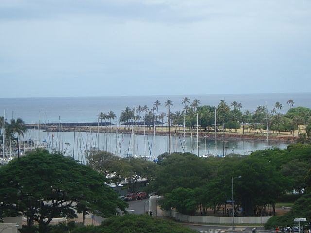 Ocean views from unit