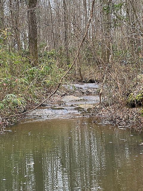 1st image of 0 Chalybeate Rd