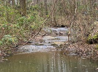 0 Chalybeate Rd, Manchester, GA 31816