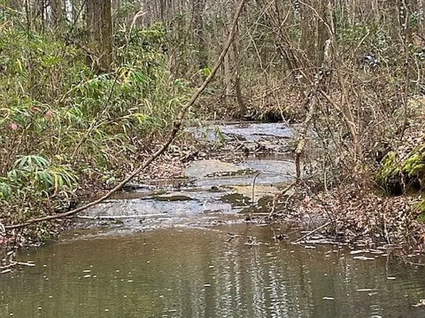 0 Chalybeate Rd, Manchester, GA 31816