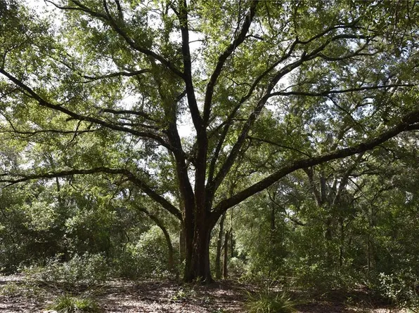 Off Southeast St #30, Inglis, FL 34449