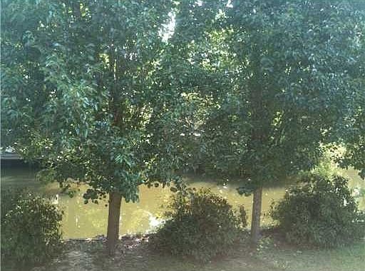 3rd image of 18175 Derbes Dr