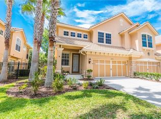 14445 Mirabelle Vista Cir, Tampa, FL 33626