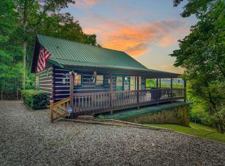 100 Lookout Trl, Mineral Bluff, GA 30559