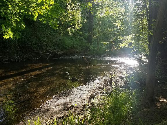This creek is visible from both bedroom windows