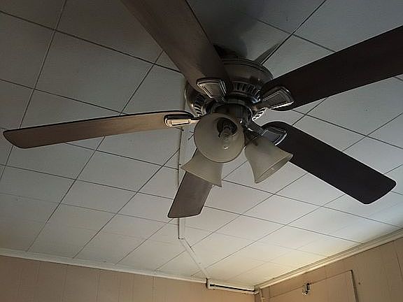 Ceiling fan