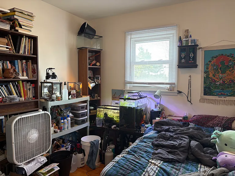 3810 Hoover Dr #1 — Photo 12