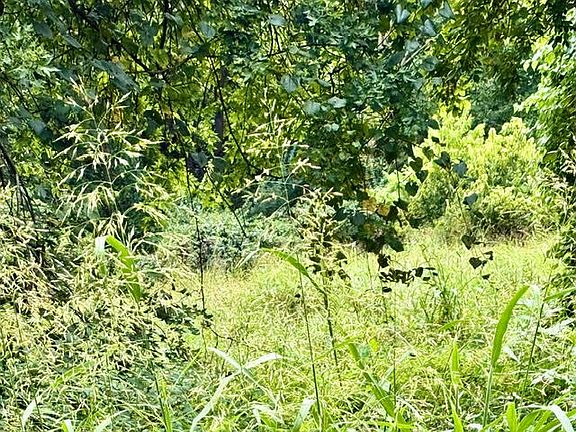 3rd image of 000 E Grand East Street #6.3 Acre M/L