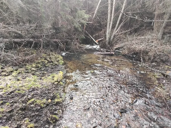 0 Cougar Loop Drive, Tonasket, WA 98855