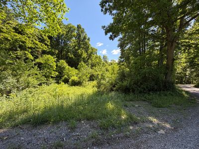 Callahan Rd, Craigsville, WV, 26205