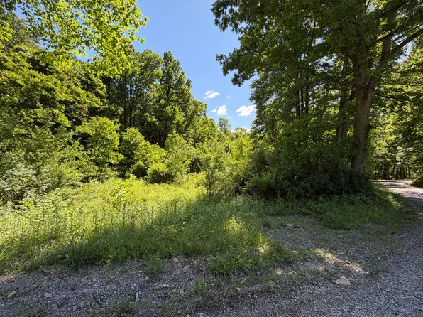 Callahan Rd, Craigsville, WV 26205