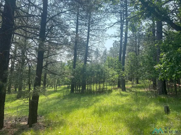 34 Avenida Fortunada Dr, Rociada, NM 87742
