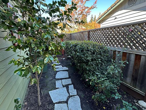 Walkway from gate to side yard.
