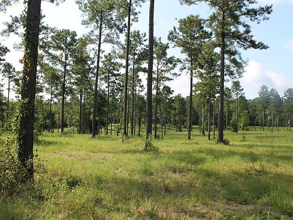 3rd image of Cypress Cove Dr