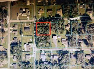 SE 137th St LOT 1, Summerfield, FL 34491