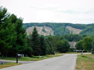 140 Pleasant Valley Dr, Harbor Springs, MI 49740