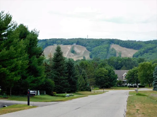 140 Pleasant Valley Dr, Harbor Springs, MI 49740