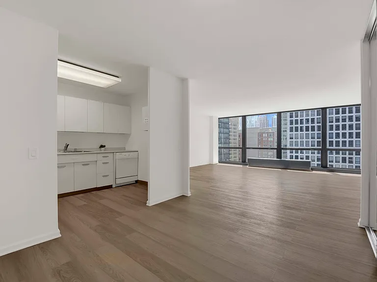 900 N Lake Shore Dr #1706 — Photo 4