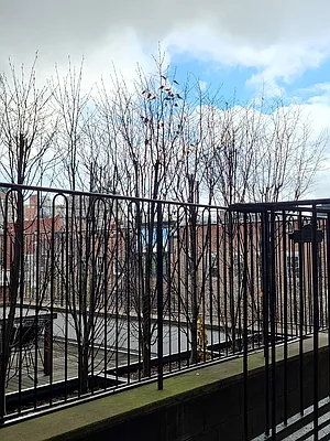 Rented by Bond New York | media 5