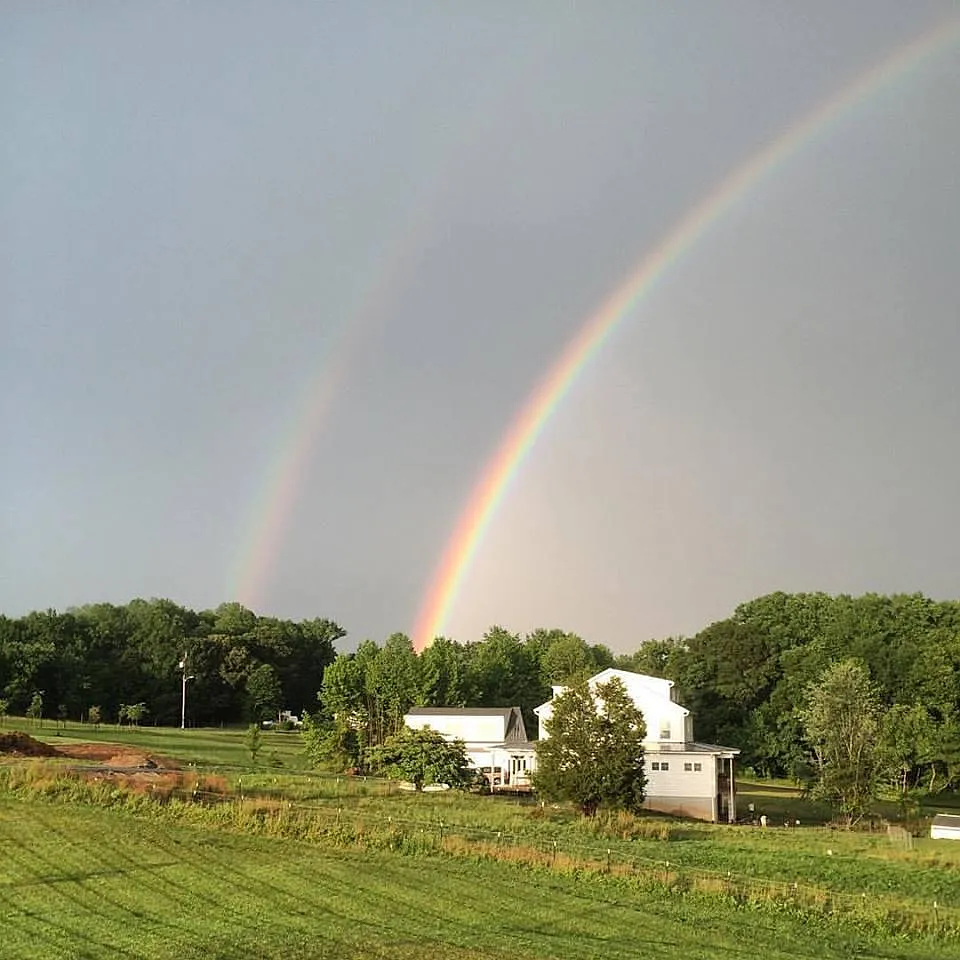 905 Governor Bridge Rd — Photo 2