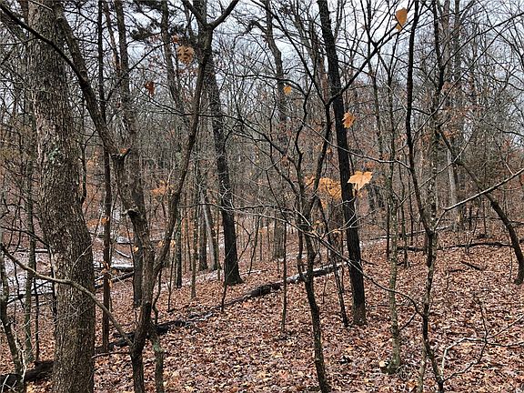 2nd image of 2535 Alpine Woods Dr