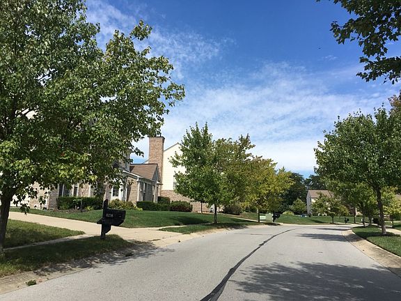 4th image of 8276 Morel Dr