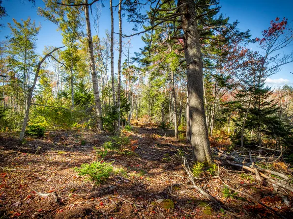 Lot 5 Jack's Lane, Bristol, ME 04554