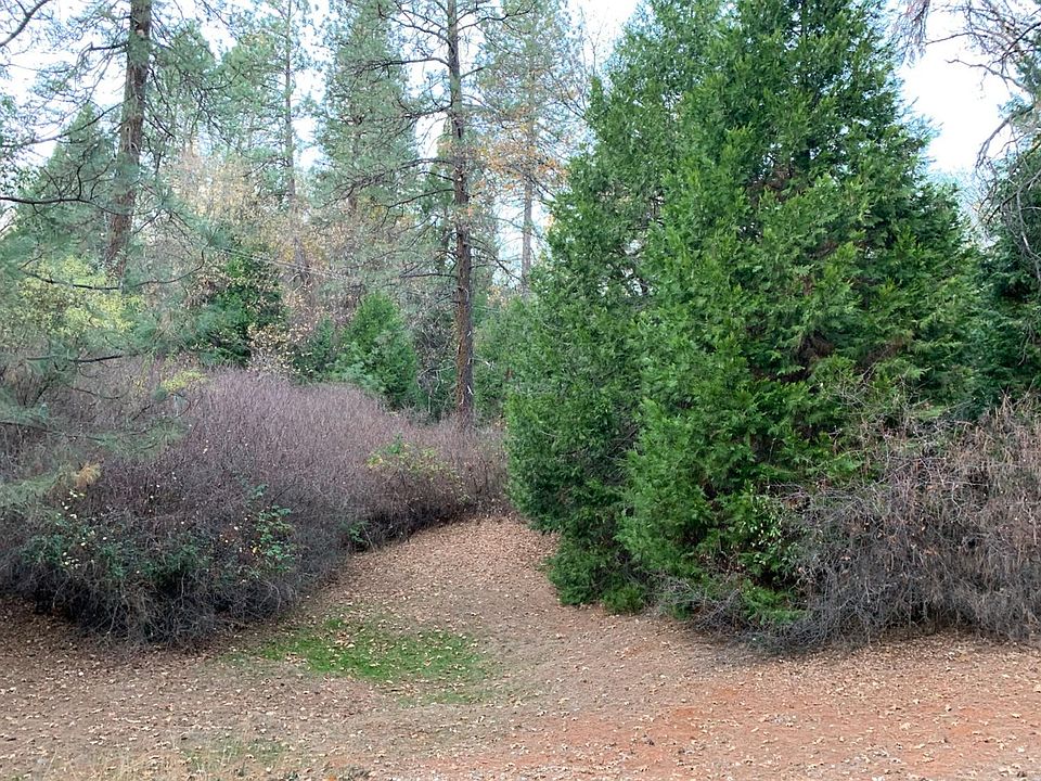 2nd image of 14629 Rollins Park Dr