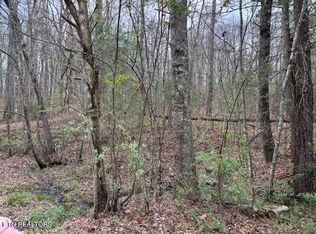 LOT 18 Bear Rd, Tallassee, TN 37878