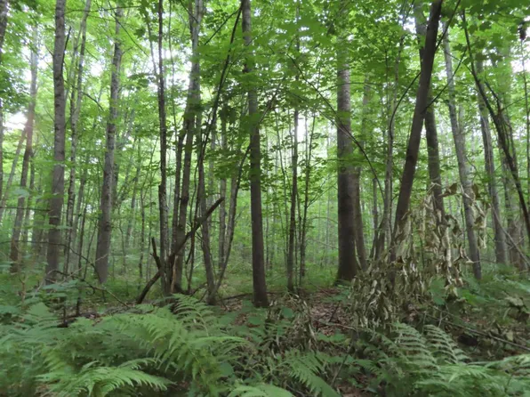 Blackwell Junction Rd Lot 11, Laona, WI 54541