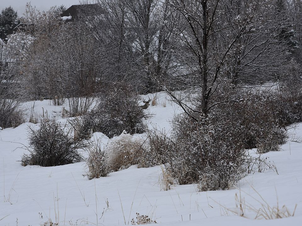 2nd image of 3085 Canyon Ridge Dr