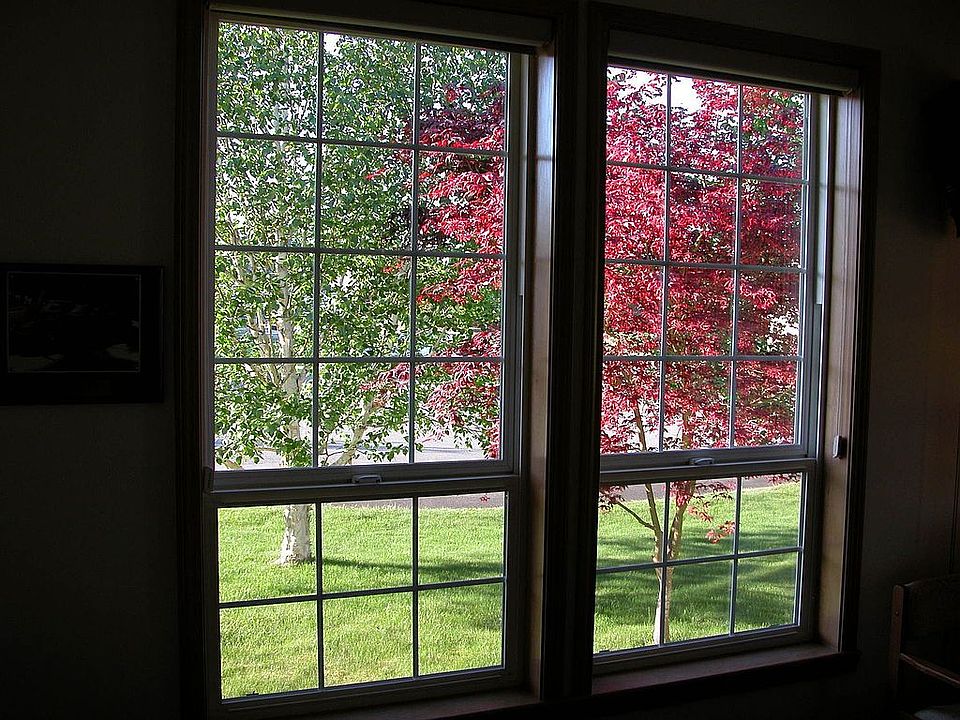 Beautiful light & privacy