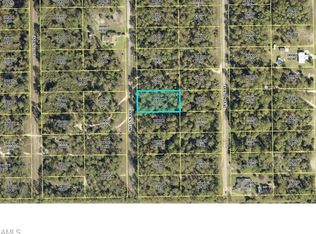 10 Wells Ave, Lehigh Acres, FL 33936