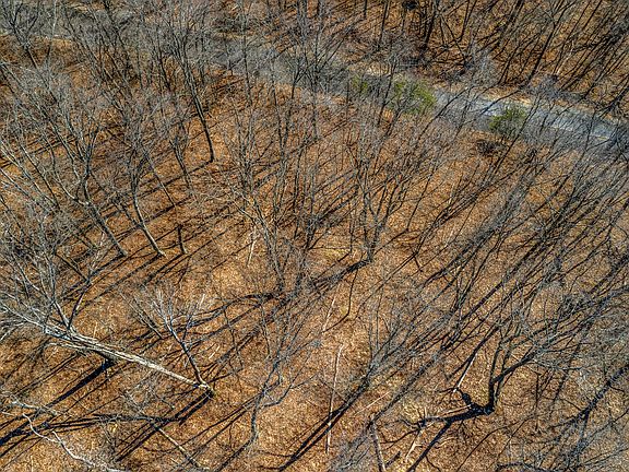 5th image of 1171 Keetoowah Dr