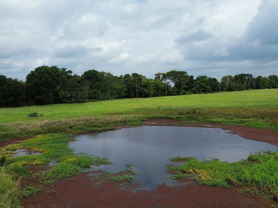 Dji Fly 20260621 114658 391 1782061217573 Photo Optimized