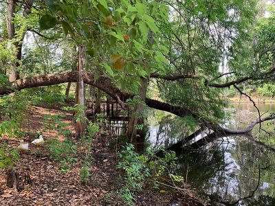 2106 NW 9th Ave, Gainesville, FL, 32603