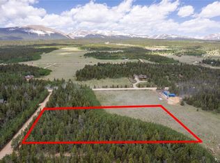 61 S Squirrel Tail Ct, Fairplay, CO 80440