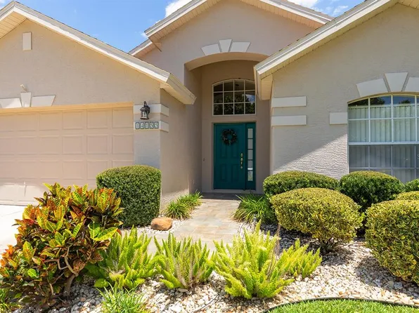 14155 Portrush Dr, Orlando, FL 32828