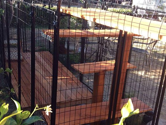 Catio- an outdoor enclosed space for small animals to safely
