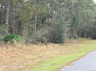 5040 N Red Ribbon Point, Beverly Hills, FL 34465