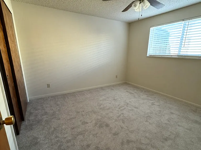 Back Bedroom