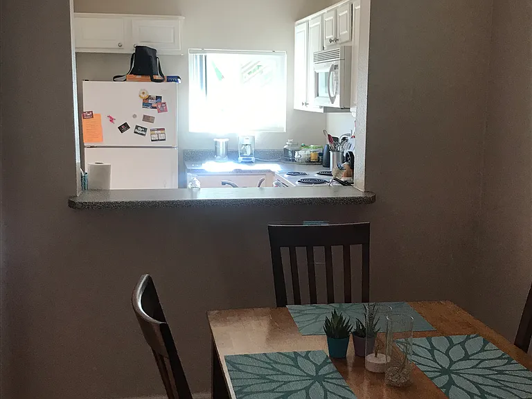 7405 Charmant Dr — Photo 5
